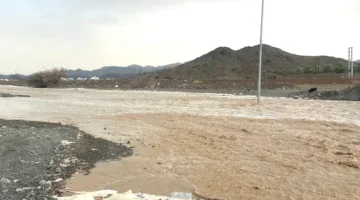 أمطار متفاوتة الشدة تهطل على ولاية سناو في شمال الشرقية