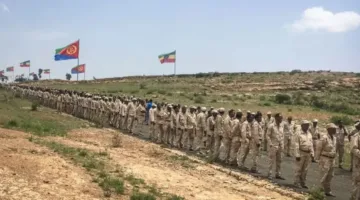 إثيوبيا وإريتريا: من شراكة استراتيجية إلى حافة الهاوية!