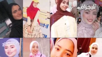 إحالة سائق ومُلاك السيارة المتورطة في حادث “بنات المنوفية” إلى المحكمة الجنائية