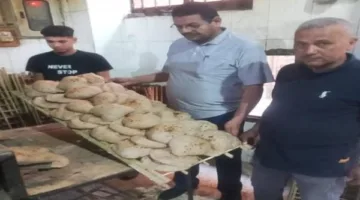 إحباط 27 انتهاكًا تموينيًا في الزينية وإسنا وأرمنت بالأقصر
