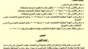 إرشادات تصويت المصريين المقيمين في الخارج في انتخابات مجلس الشيوخ | الوثائق المطلوبة