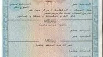 إرشادات مفصلة للأمهات الجدد حول إجراءات تسجيل المواليد والحصول على شهادة الميلاد