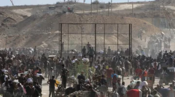 إسرائيل تستمر في قصف المحتاجين في غزة… وازدياد عدد الضحايا بسبب نقص الغذاء