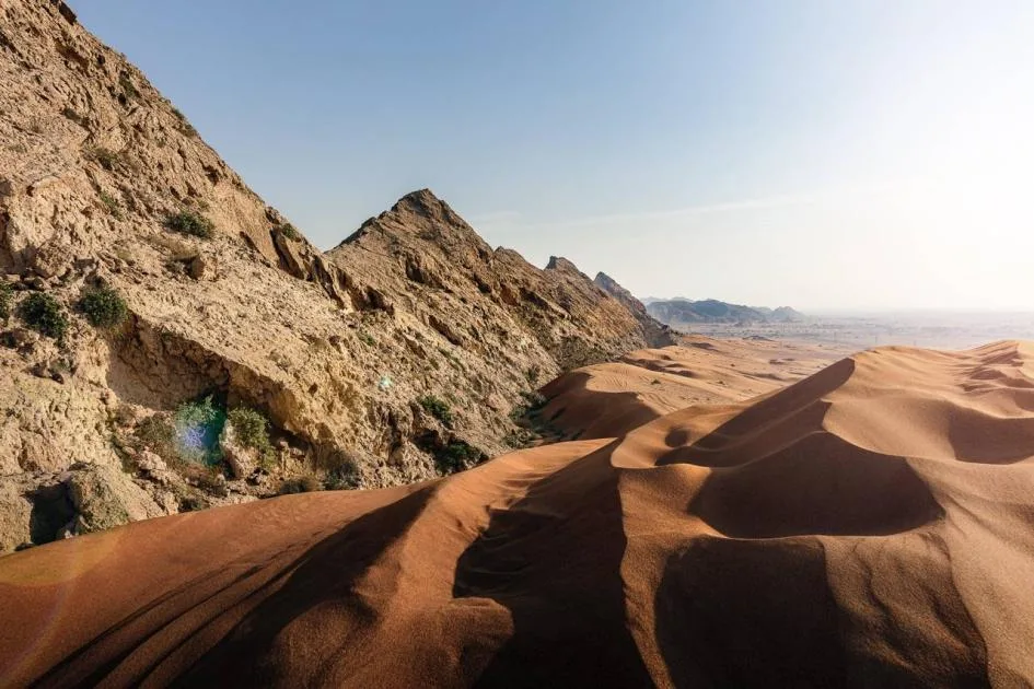 إسهام مميز للجهود العربية والخليجية.. الكويت تهنئ الإمارات على إنجاز «الفاية» إسهام مميز للجهود العربية والخليجية.. الكويت تهنئ الإمارات على إنجاز «الفاية»