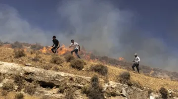 إشعال النيران وهجمات… مواجهات بين المستوطنين والفلسطينيين في بلدة سنجل بالضفة الغربية.