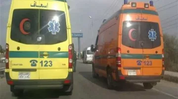 إصابة سبعة أفراد جراء انقلاب سيارة على طريق القاهرة – أسيوط الصحراوي في الفيوم