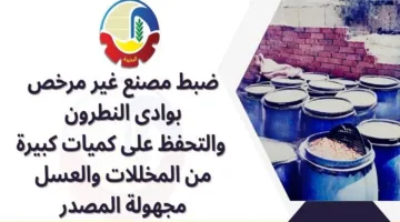 إغلاق مصنع للمخللات والعسل غير معلوم المصدر في البحيرة