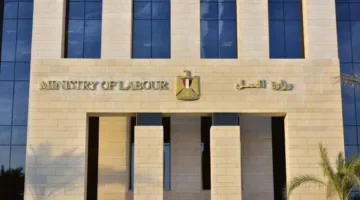 إلقاء القبض على 276 عاملًا أجنبيًا غير مصرح لهم بالعمل في مصر