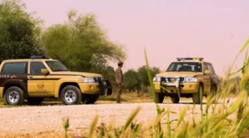 إلقاء القبض على شخص بسبب إشعال النار في المناطق النباتية بحائل