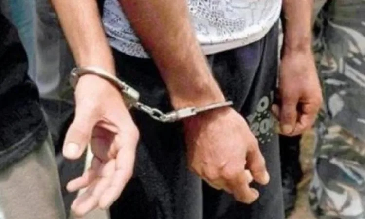 إلقاء القبض على شخصين بتهمة إطلاق نار في أحد شوارع القليوبية إلقاء القبض على شخصين بتهمة إطلاق نار في أحد شوارع القليوبية