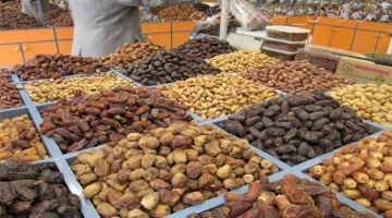 إنتاج التمور في الوادي الجديد: فرصة استثمارية واعدة وتوفير وظائف جديدة