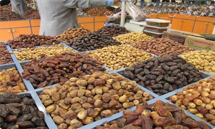 إنتاج التمور في الوادي الجديد: فرصة استثمارية واعدة وتوفير وظائف جديدة إنتاج التمور في الوادي الجديد: فرصة استثمارية واعدة وتوفير وظائف جديدة