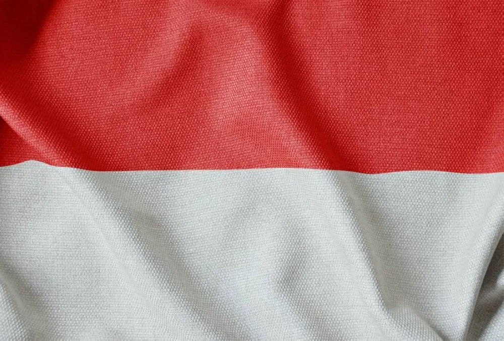 إندونيسيا تفكر في تقليص قيود تصدير النحاس لتعزيز الاقتصاد المحلي