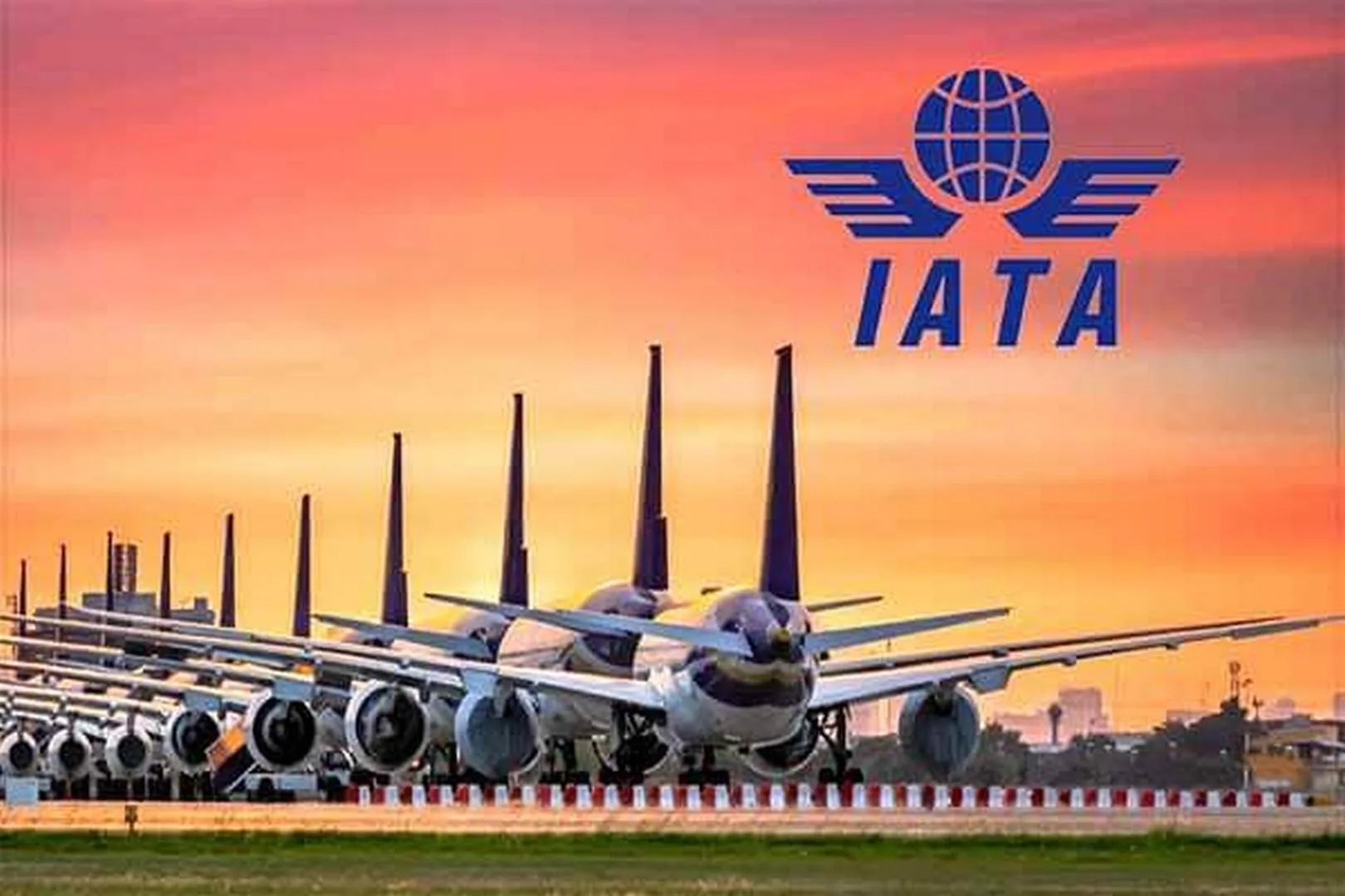 إياتا: الرسوم الجمركية الأمريكية تعيق استراتيجيات شركات الطيران إياتا: الرسوم الجمركية الأمريكية تعيق استراتيجيات شركات الطيران