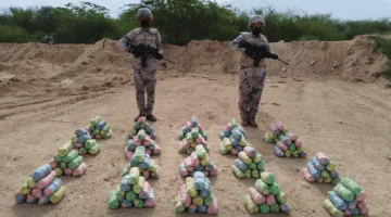 إيقاف محاولة تهريب 75 كجم من القات في عسير