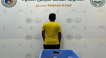 إيقاف مخالف يقوم بالصيد بدون تصريح في سواحل عسير