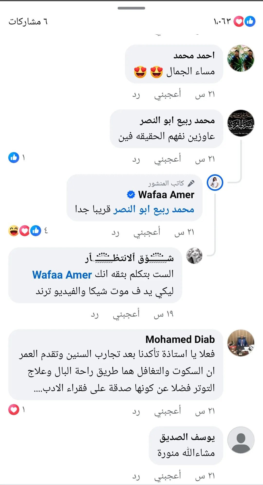وفاء عامر