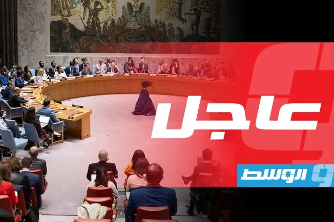 اجتماع عاجل لمجلس الأمن الدولي يوم الجمعة لمناقشة النزاع الحدودي بين تايلاند وكمبوديا