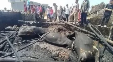احتواء نيران برخيل: وفد من الأوقاف والتضامن يقدم الدعم المادي والمعنوي للمتضررين