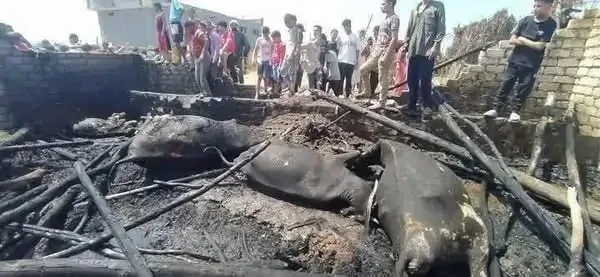 احتواء نيران برخيل: وفد من الأوقاف والتضامن يقدم الدعم المادي والمعنوي للمتضررين احتواء نيران برخيل: وفد من الأوقاف والتضامن يقدم الدعم المادي والمعنوي للمتضررين