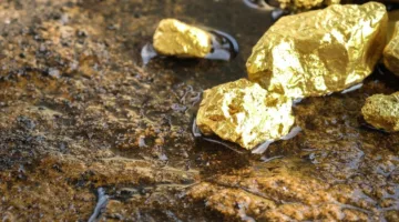 احتياطيات البنك المركزي من الذهب تتزايد خلال 6 أشهر.. ما الدلالات؟