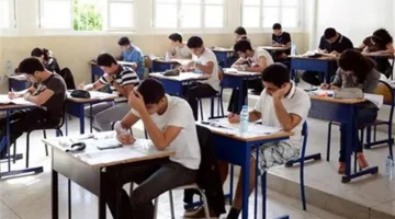 اختلافات البكالوريا والثانوية العامة: كل ما تحتاج لمعرفته عن نظام التعليم الجديد في مصر