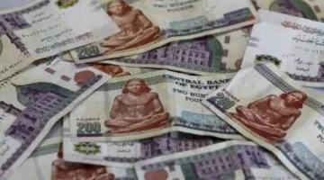 استحوذت على ملايين الجنيهات.. منصة VSA تنصب على آلاف الضحايا في مصر