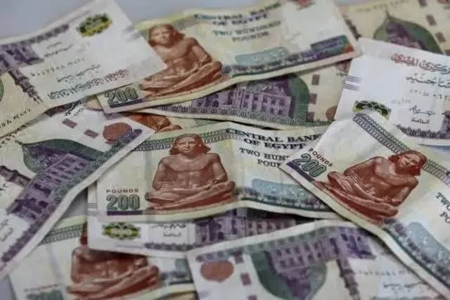 استحوذت على ملايين الجنيهات.. منصة VSA تنصب على آلاف الضحايا في مصر استحوذت على ملايين الجنيهات.. منصة VSA تنصب على آلاف الضحايا في مصر