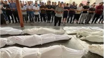 استشهاد 4 فلسطينيين برصاص الاحتلال أثناء انتظارهم للمساعدات في رفح بجنوب قطاع غزة