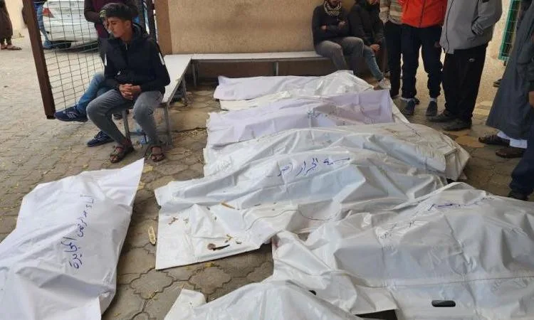 استشهاد ثمانية فلسطينيين نتيجة قصف الاحتلال لمخيم النصيرات الجديد استشهاد ثمانية فلسطينيين نتيجة قصف الاحتلال لمخيم النصيرات الجديد
