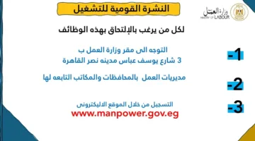 استعد لوظيفتك.. 2949 فرصة عمل متاحة في 44 شركة بـ10 محافظات
