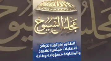 استعدادات الأحزاب السياسية للمشاركة في انتخابات مجلس الشيوخ