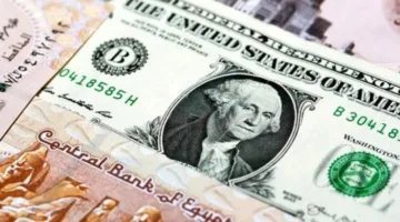 استقرار قيمة الدولار في مصر اليوم مع تواصل الهدوء في الأسواق المالية