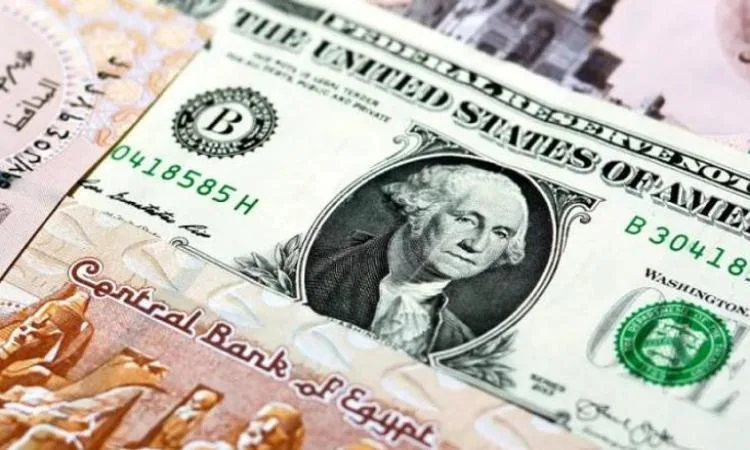 استقرار قيمة الدولار في مصر اليوم مع تواصل الهدوء في الأسواق المالية استقرار قيمة الدولار في مصر اليوم مع تواصل الهدوء في الأسواق المالية