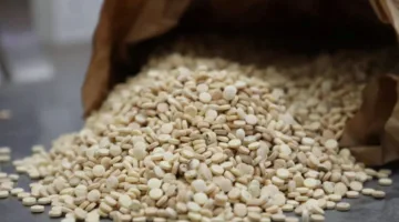 استمرار مكافحة تصنيع وتهريب الكبتاغون، والشحنة الأخيرة المتجهة إلى جورجيا عبر لبنان!