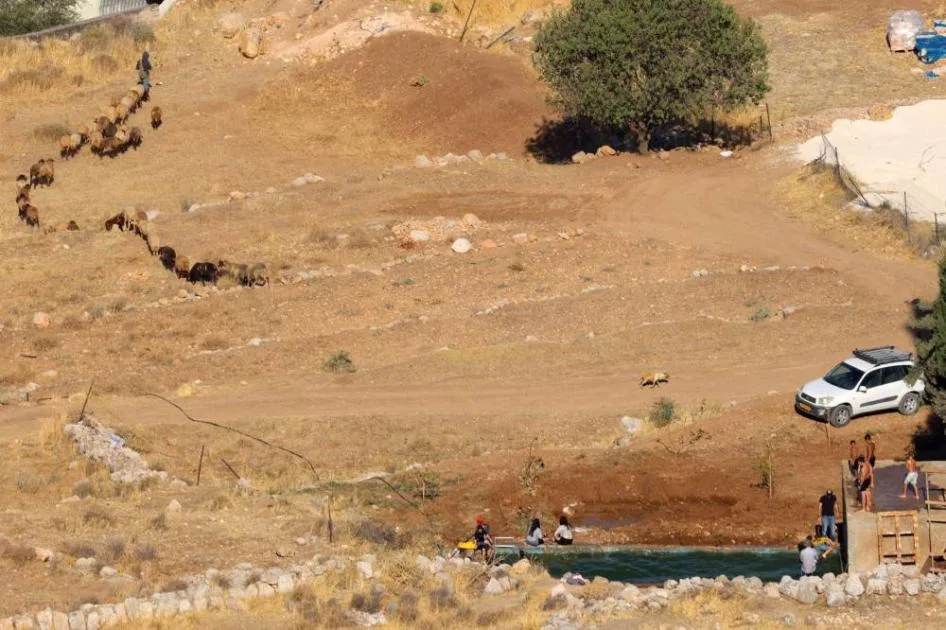 اعتداءات المستوطنين تهدد الفلسطينيين في الضفة الغربية بنقص المياه اعتداءات المستوطنين تهدد الفلسطينيين في الضفة الغربية بنقص المياه