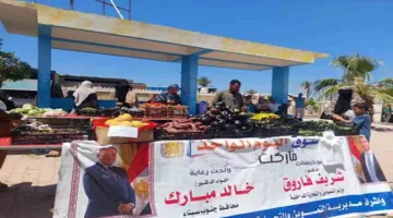 افتتاح سوق اليوم الواحد في طور سيناء مع تخفيضات على اللحم البلدي بسعر 320 جنيها