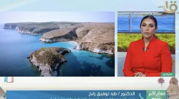 الأبحاث الفلكية: لا دلائل على حدوث “تسونامي”.. وسواحل مصر في أمان