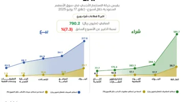 الأجانب يستمرون في تسجيل صافي شراء في “تاسي”.. اكتشف تحركاتهم وأهم القطاعات التي تجذب استثماراتهم خلال الأسبوع.