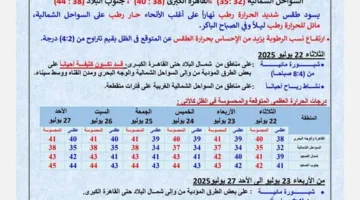 الأرصاد الجوية: استعدوا لأسبوع صيفي شديد.. إليكم توقعات الطقس للستة أيام القادمة