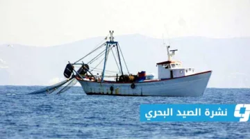 الأرصاد الجوية تنبه من رياح قوية على ساحل شحات وحتى خليج بومبا