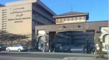 الأمراض المستوطنة: اتفاقية تعاون بين معهد تيودور بلهارس وجامعة ووهان