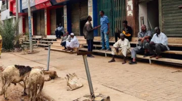 الأمم المتحدة: 1.3 مليون سوداني يعودون إلى وطنهم