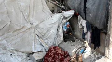 الأمم المتحدة: وفاة 798 فرداً أثناء تلقيهم المساعدات في غزة