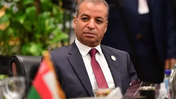 الأمين العام لمجلس الشيوخ: بدأنا التحضير لاستقبال الأعضاء الجدد بعد إعلان نتائج الانتخابات