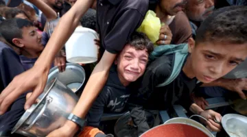 “الإخوان” يضغطون على مصر: بين الاعتراف بالتجويع ومواجهة إسرائيل! (فيديو)