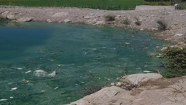الإسماعيلية: shut down of an illegal fish farm in Qassasin Center (photos) الإسماعيلية: shut down of an illegal fish farm in Qassasin Center (photos)