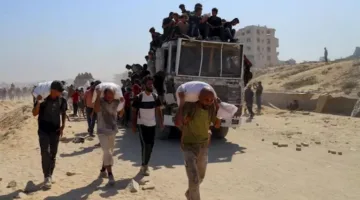 الإعلام الحكومي: 51 شهيدًا و648 مصابًا في صفوف منتظري المساعدات في غزة خلال ثلاثة أيام
