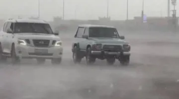 الإمارات: تساقط أمطار الخير في بعض مناطق العين (فيديو)