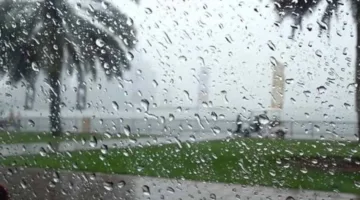الإمارات: هطول أمطار غزيرة وتساقط برد اليوم الأربعاء (فيديو)